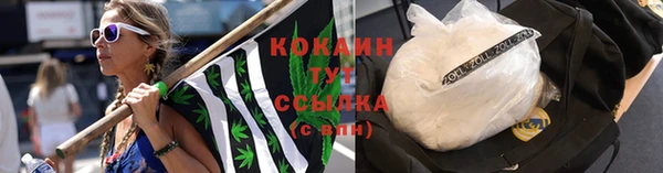 прущие крисы Аркадак