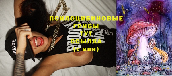 прущие крисы Аркадак
