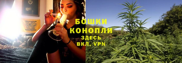 прущие крисы Аркадак