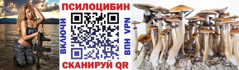 Галлюциногенные грибы Psilocybe  мориарти телеграм  Находка  omg зеркало 